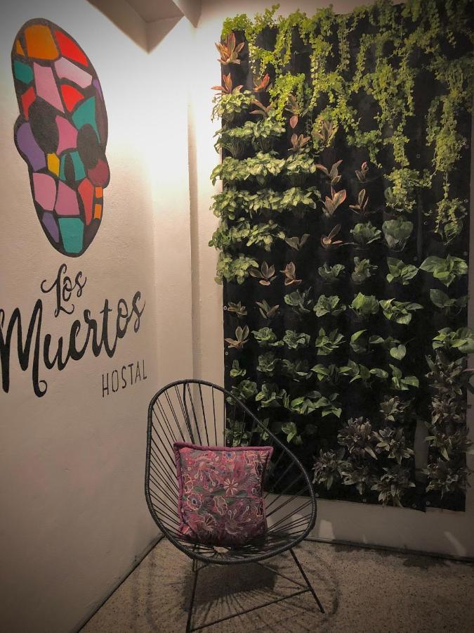 Los Muertos Hostal Puerto Vallarta Luaran gambar