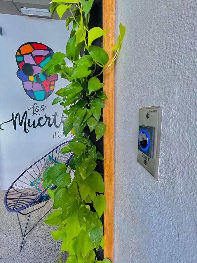 Los Muertos Hostal Puerto Vallarta Luaran gambar